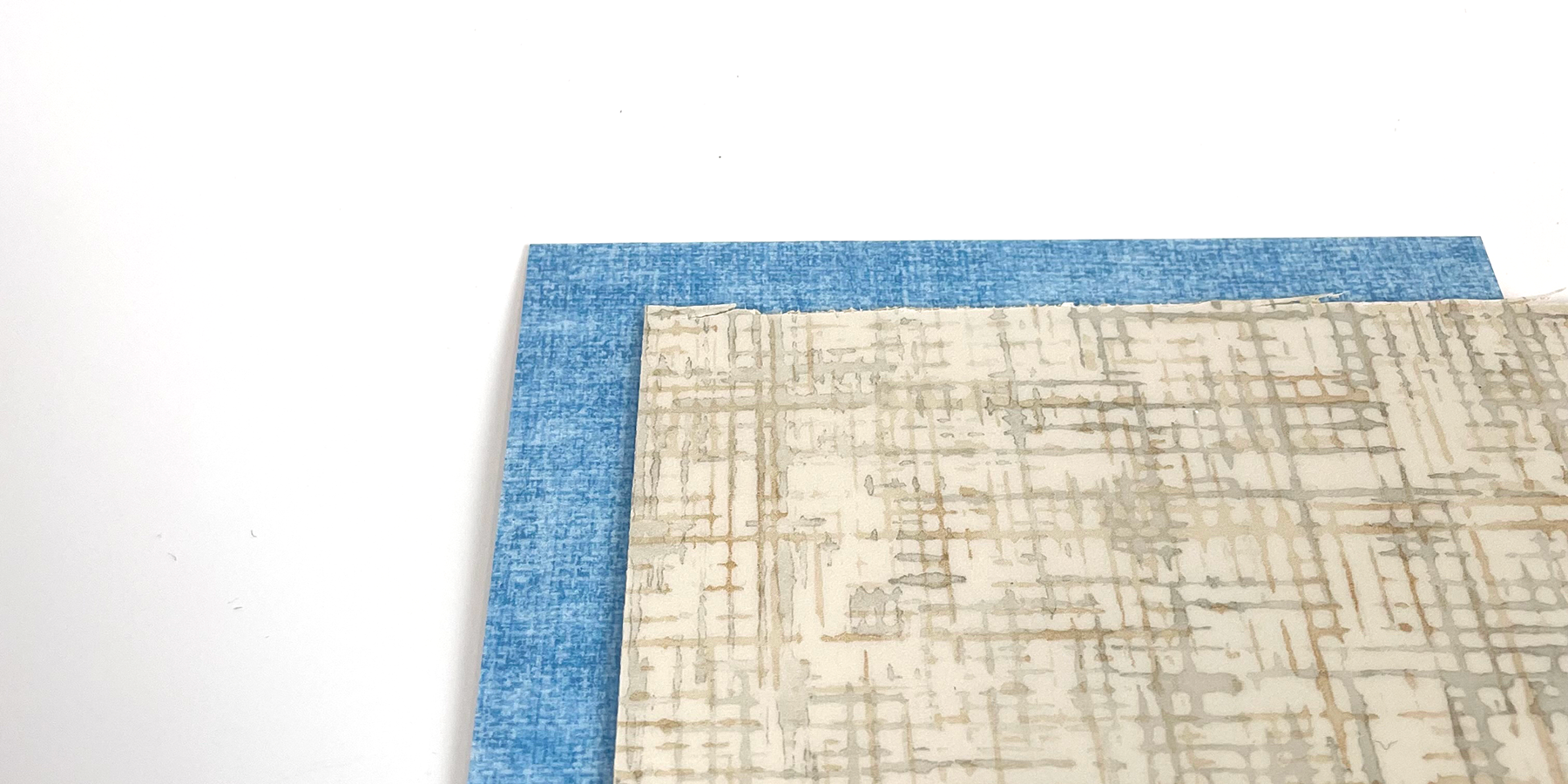 ECO SYSTEM COLLECTION