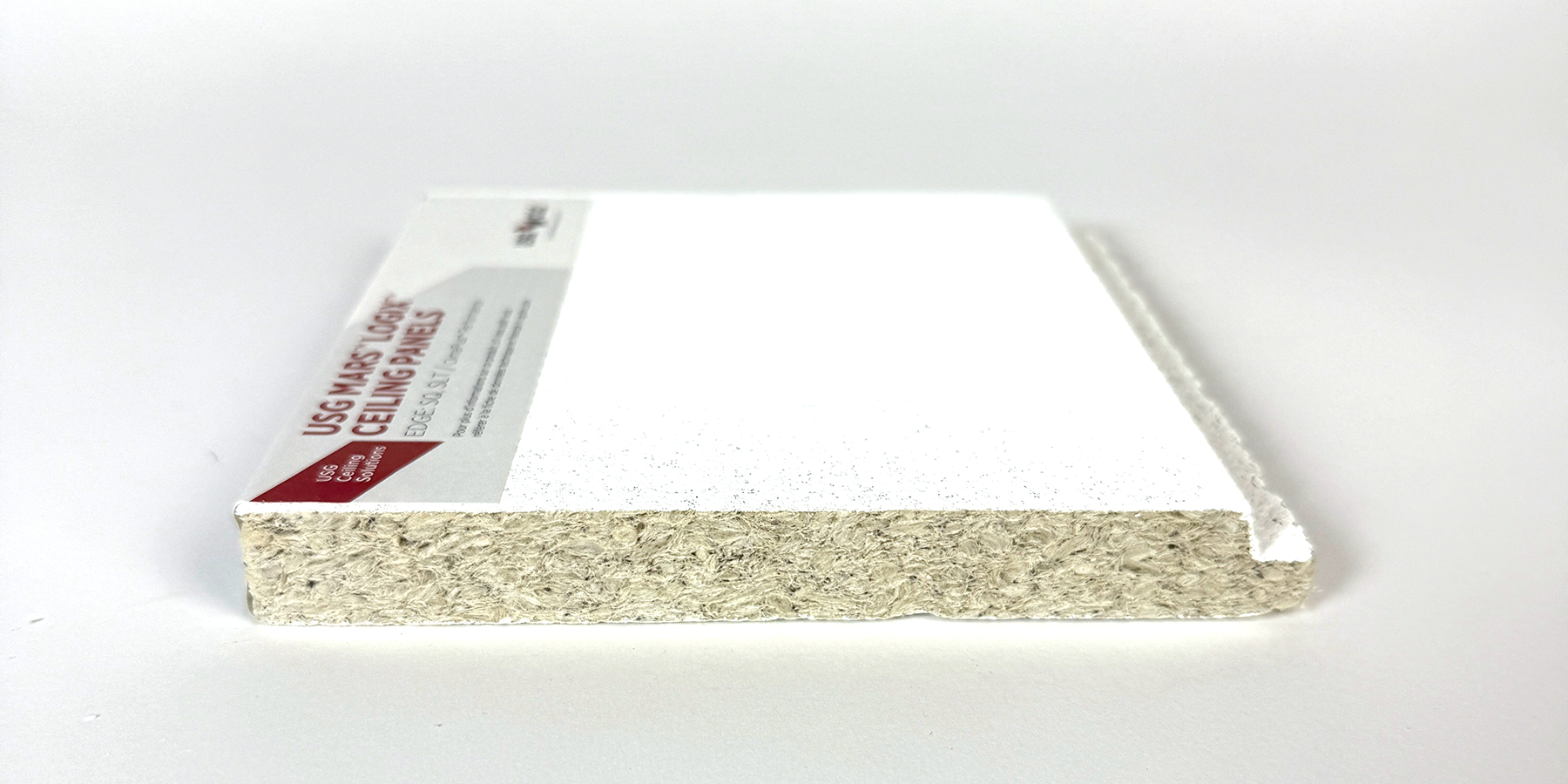 CEILING ECOSMART PANELS