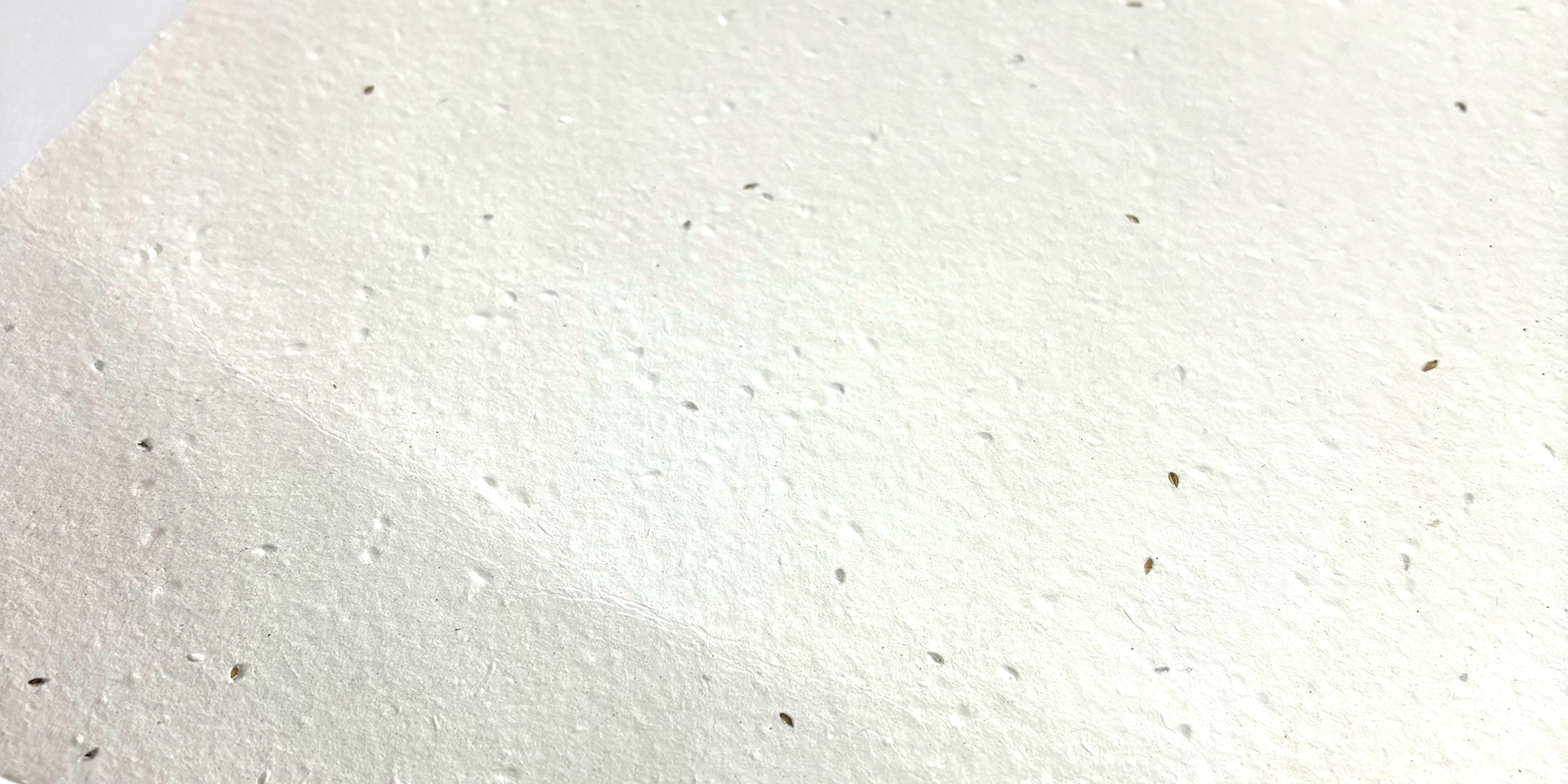 GREENFIELD SEED PAPER