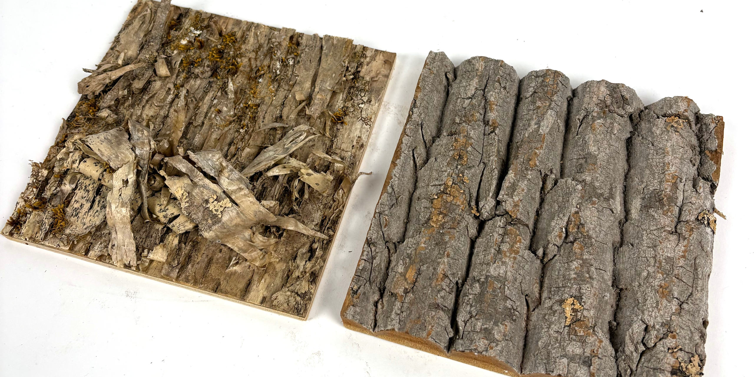 RECLAIMED BARK SIDING